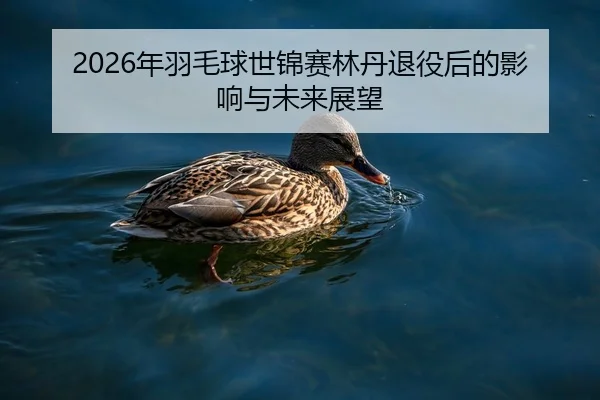 2026年羽毛球世锦赛林丹退役后的影响与未来展望
