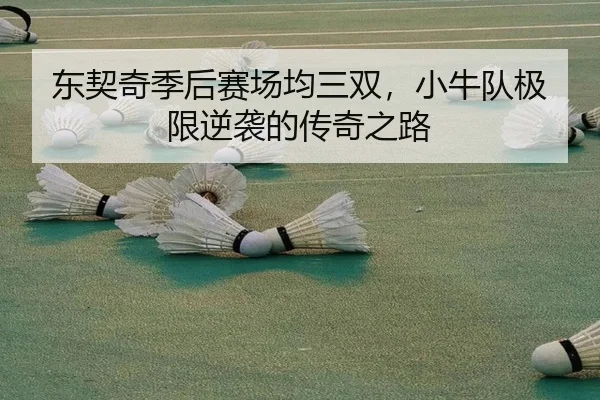 东契奇季后赛场均三双，小牛队极限逆袭的传奇之路