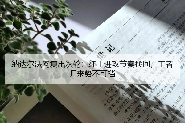 na-da-er-fa-wang-fu-chu-ci-lun-hong-tu-jin-gong-jie-zou-zhao-hui-wang-zhe-gui-lai-shi-bu-ke-dang-2-679.jpg