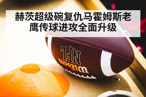赫茨超级碗复仇马霍姆斯老鹰传球进攻全面升级